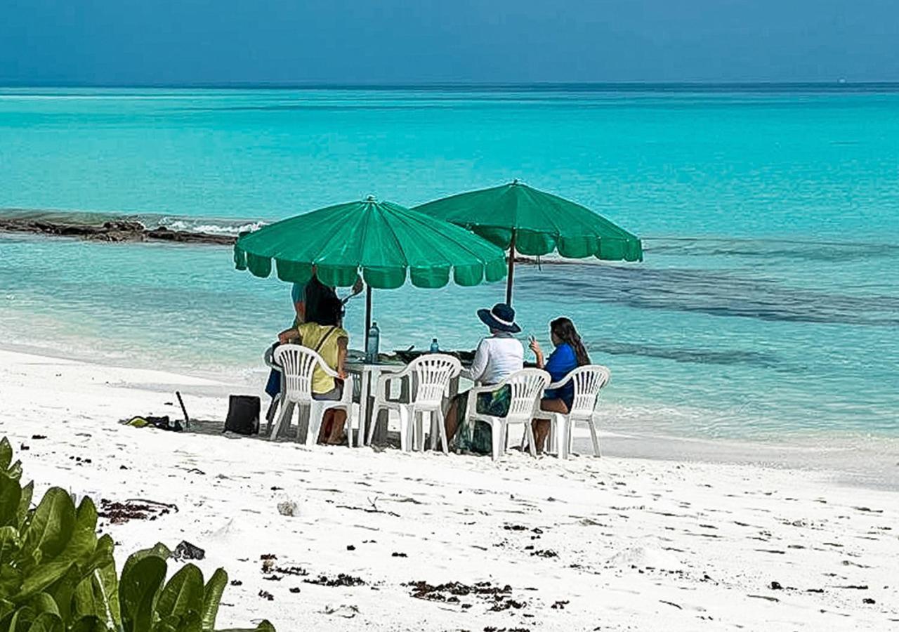 Tropical Tree Ξενοδοχείο Fehendhoo Εξωτερικό φωτογραφία