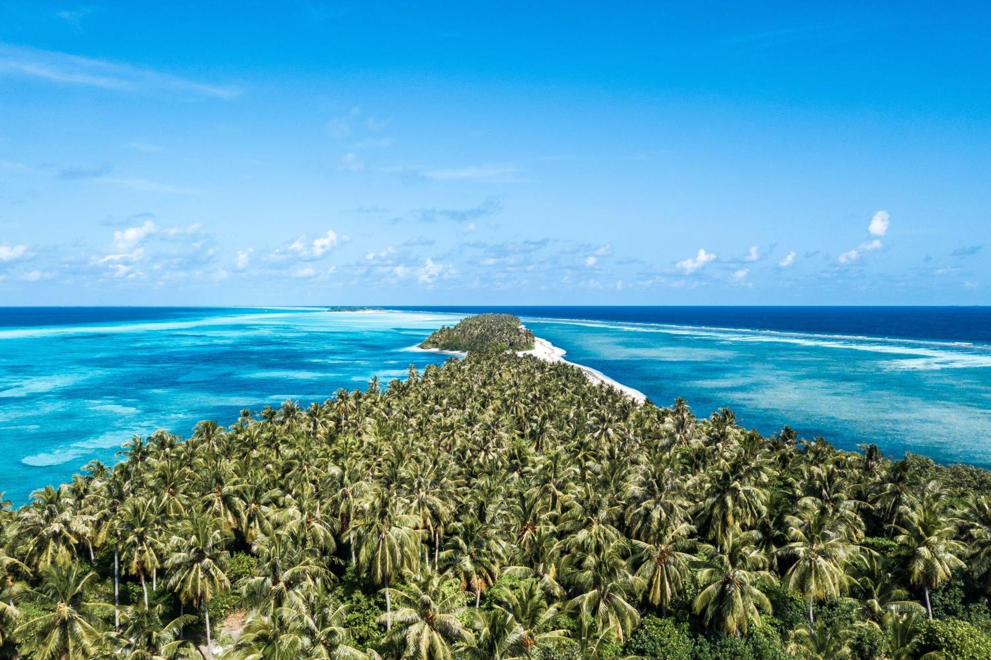 Tropical Tree Ξενοδοχείο Fehendhoo Εξωτερικό φωτογραφία