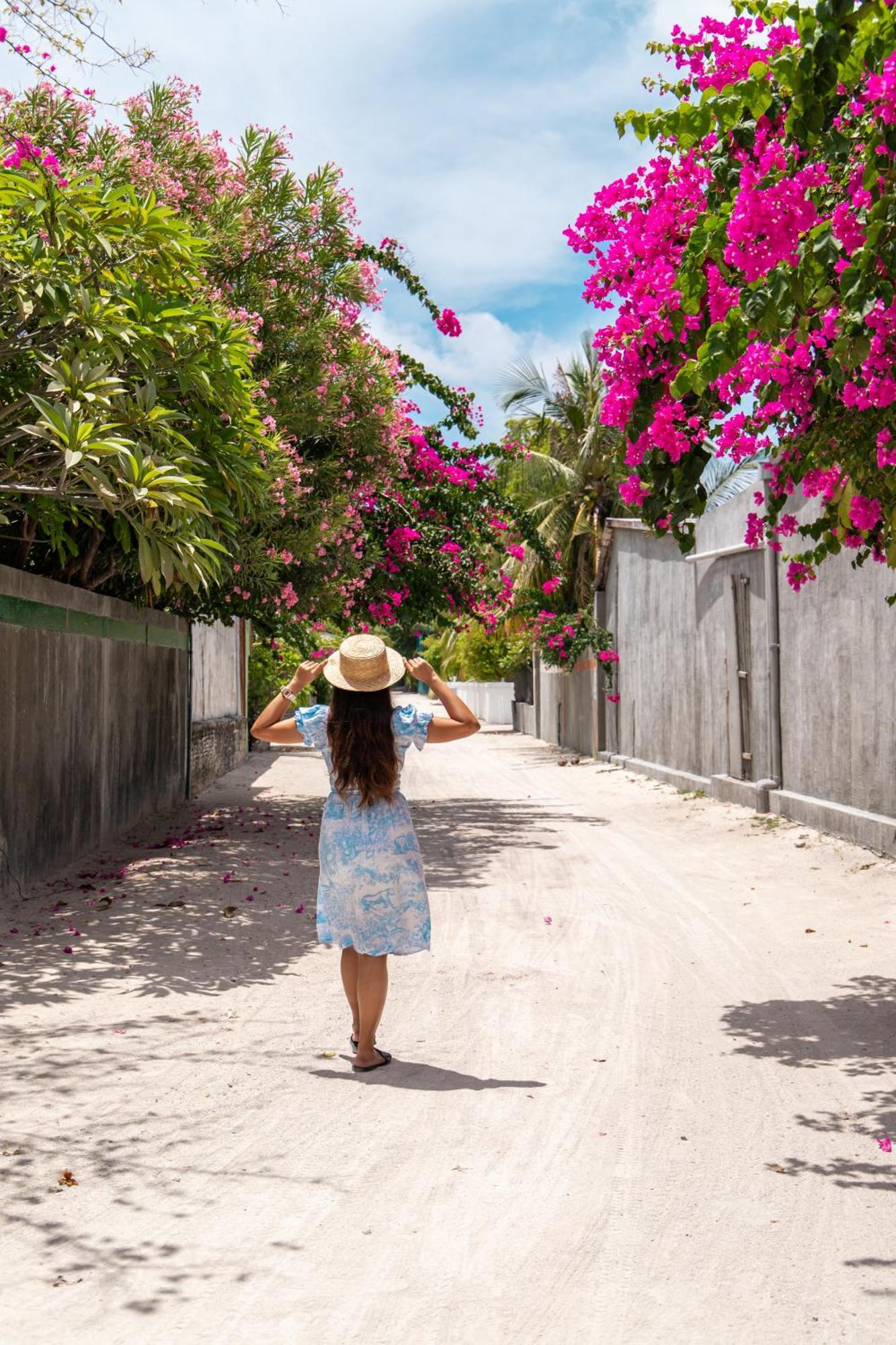 Tropical Tree Ξενοδοχείο Fehendhoo Εξωτερικό φωτογραφία